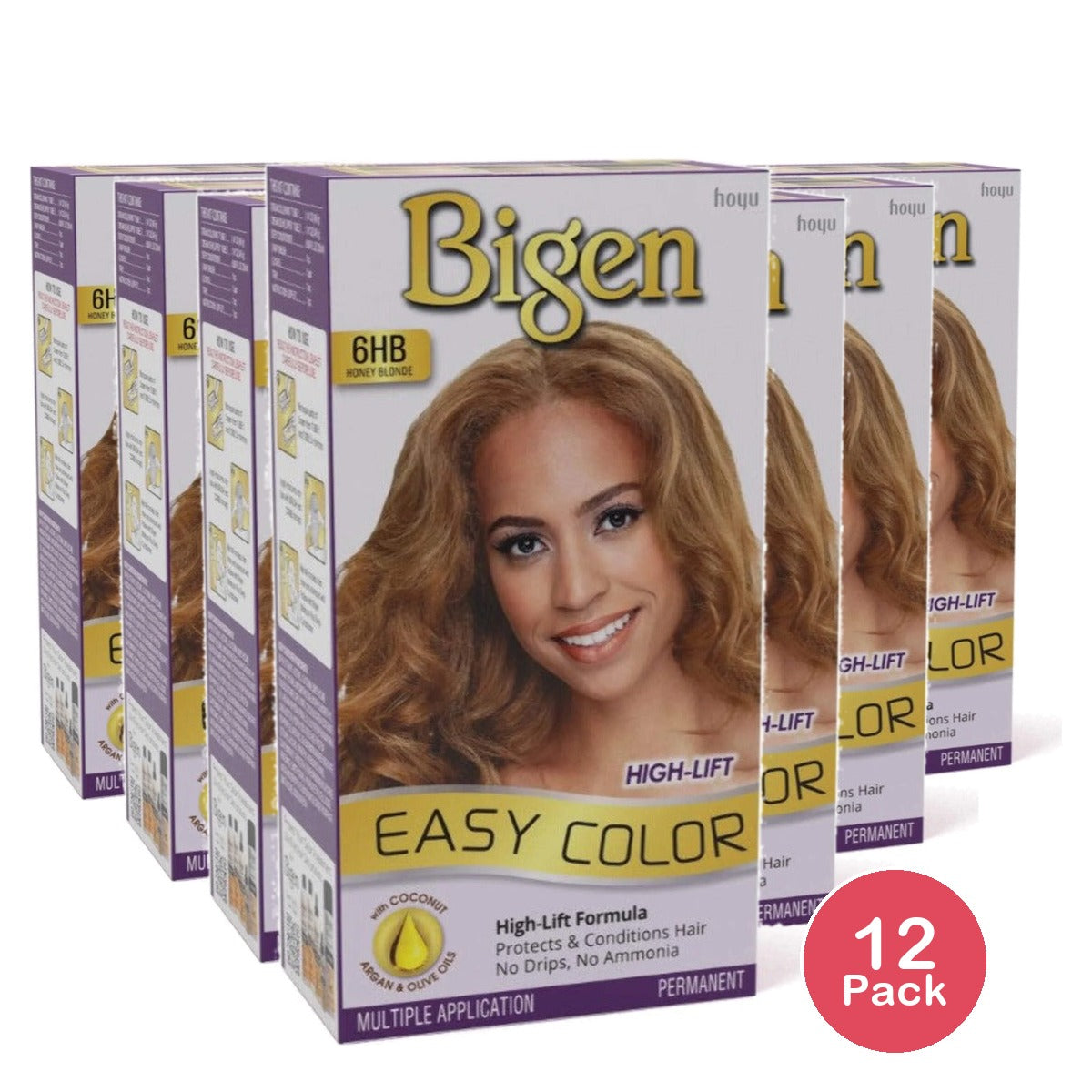 Bigen Easy Color High-Lift 6HB Honey Blonde 2.82 Oz (Pack of 12)