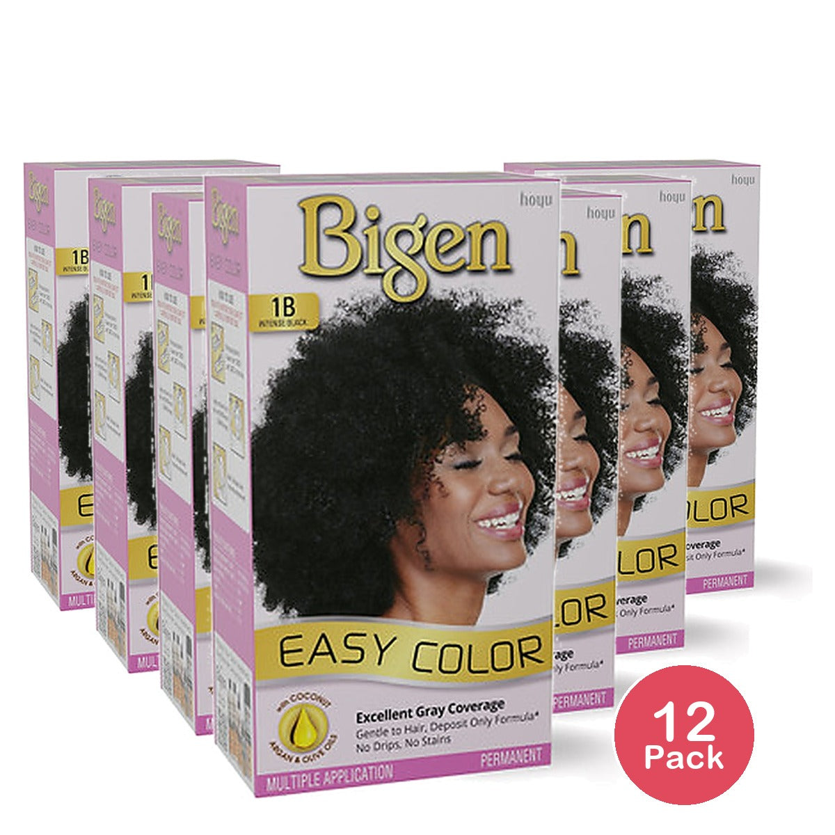 Bigen Easy Color Women Intense Black 1B 2.82 Oz (Pack of 12)