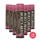 Burts Bees Tinted Lip Balm Hibiscus 0.15Oz (Pack Of 16)