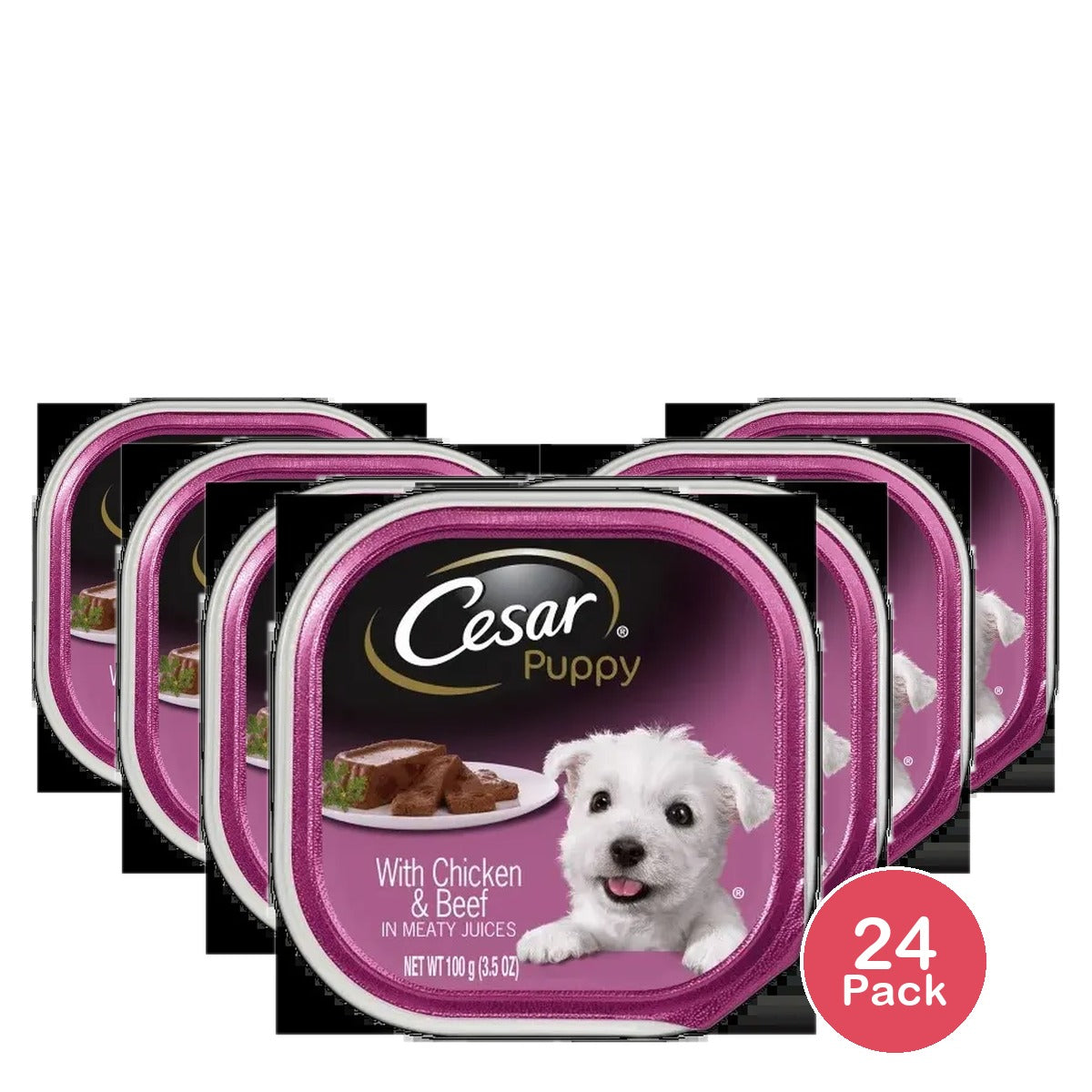Cesar Puppy Chicken & Cheese 3.5 oz (Pack of 24)
