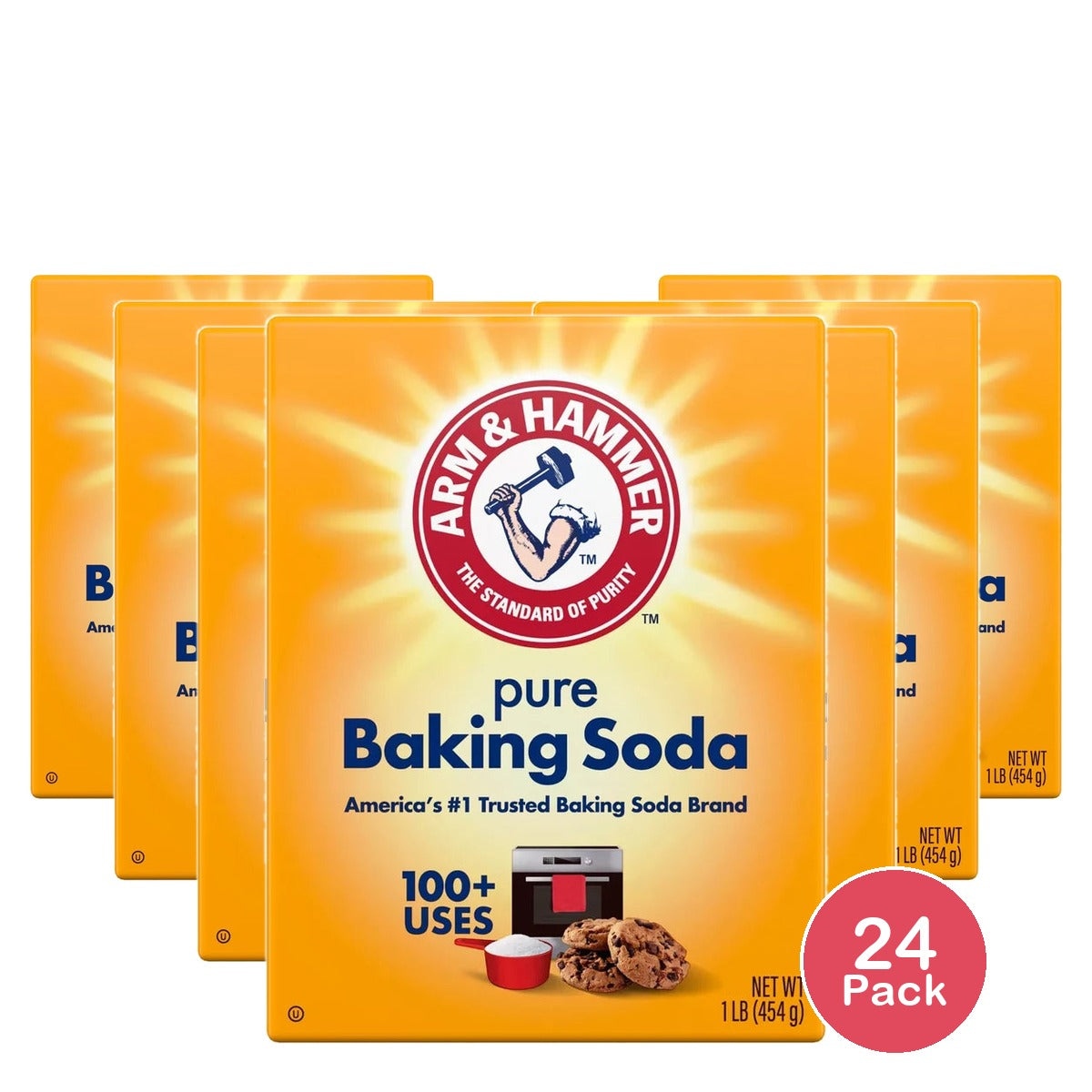 Church & Dwight #01110 16 Arm & Hammer 16 Oz (Pack of 24)