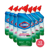 Clorox Toilet Bowl Cleaner With Bleach Fresh 24Oz (Pack of 12)