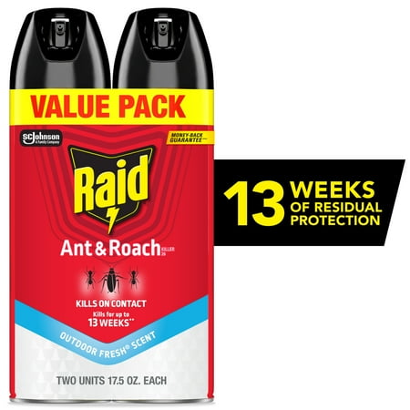 Raid Ant & Roach Killer 17.5 Oz (Pack of 6)