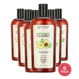 Fantasia Avocado & Cilantro Moisturizing Daily Shampoo with Keratin 12 fl oz (Pack of 6)
