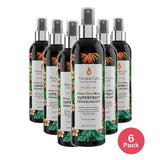 Flora & Curl Citrus Detangler 8.5 Oz (Pack of 6)