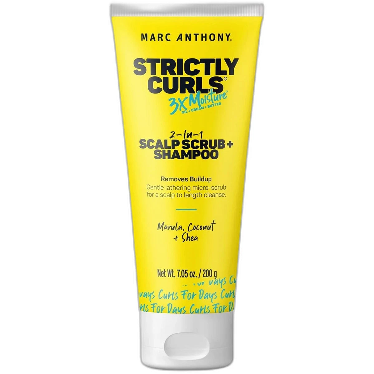 Marc Anthony Strictly Curls Coconut Oil and Marula Oil Scalp Scrub and Shampoo 7.05Oz (Pack of 6)