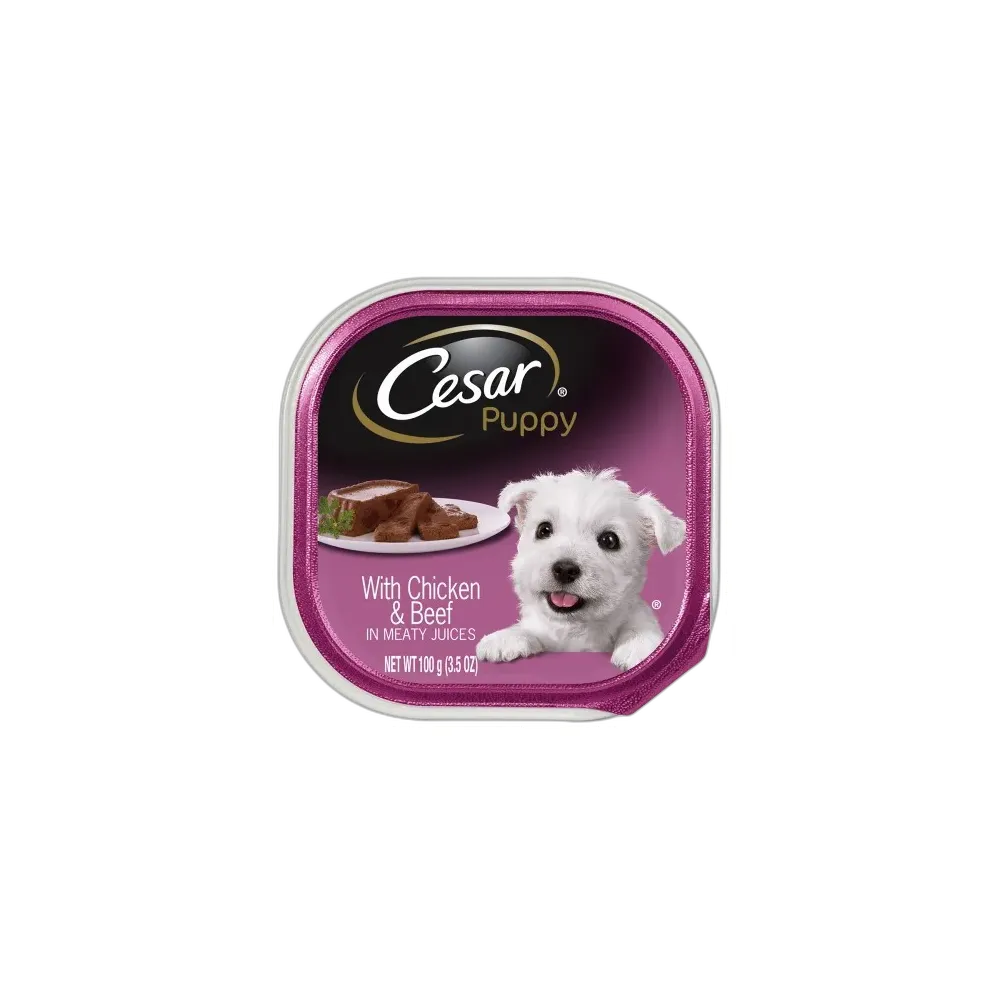 Cesar Puppy Chicken & Cheese 3.5 oz (Pack of 24)