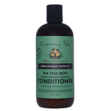 Sunny Isle Jamaican Black Castor Oil Tea Tree Mint Conditioner 354ml, Hydration 12 Oz (Pack of 6)