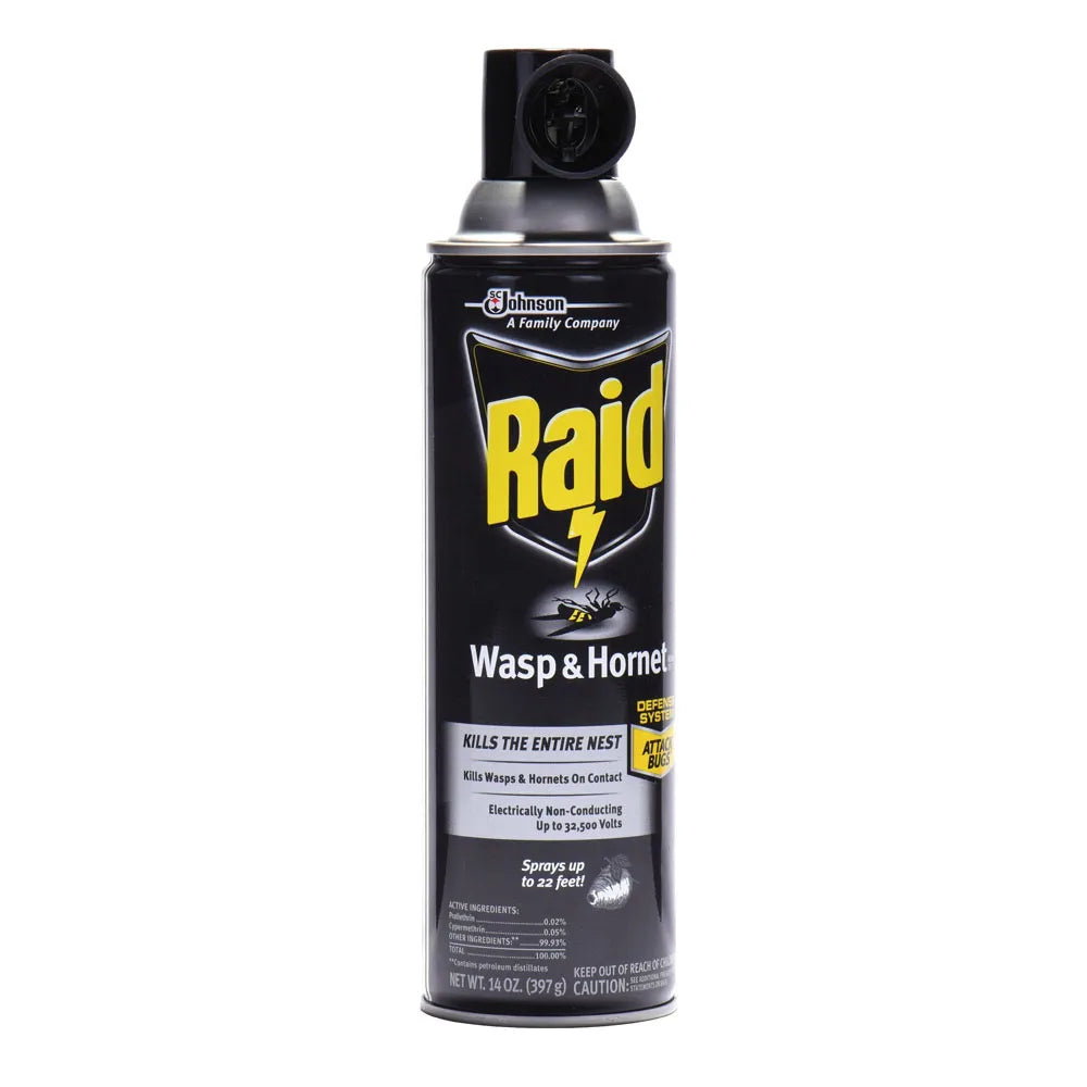 Raid Wasp And Hornet Killer Spray 14Oz (Pack of 12)