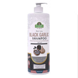 Spanish Garden Original Black Garlic Shampoo Hair Loss For 32 Oz (Pack of 12)