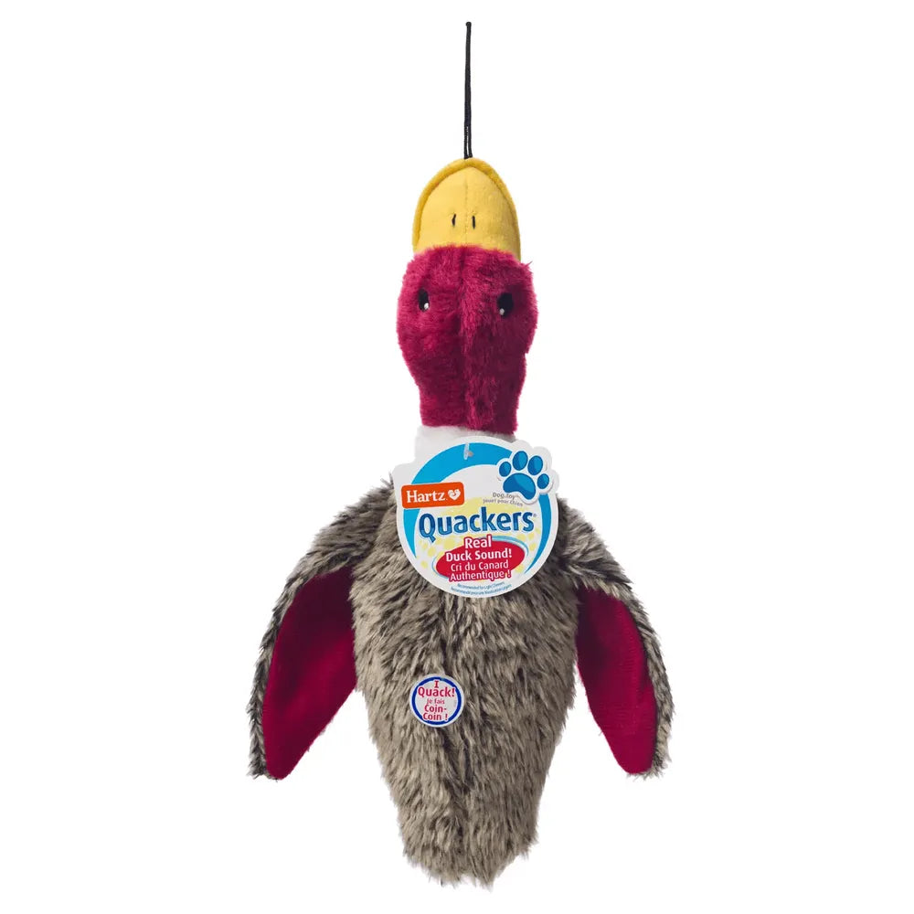 Hartz Nature's Collection Plush Dog Toy Large Quackers 3.5 oz (Pack of 12)