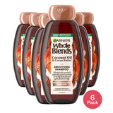 Garnier Whole Blends Frizz Control Nourishing Daily Shampoo All Hair Types 12.5 fl oz (Pack of 6)
