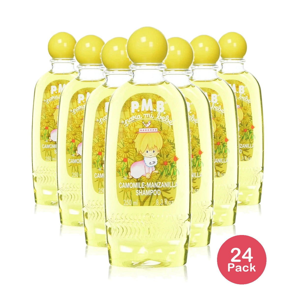 Hofmann Marketing PMB Shampoo 8.3 oz (Pack of 24)