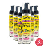 Jamaican Mango & Lime Refreshing Dry Wash 8 Oz (Pack of 6)