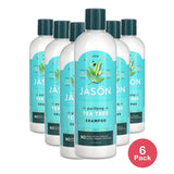 Jason Purifying Tea Tree Shampoo 12Oz (Pack of 6)