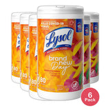 Lysol Disinfectant Antibacterial Cleaning Wipes 16.7oz (Pack of 6)