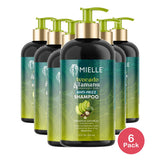 Mielle Organics Avocado & Tamanu Anti-Frizz Shampoo 12 Oz (Pack of 6)