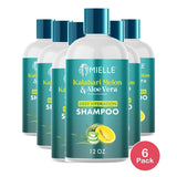 Mielle Organics Kalahari Melon & Aloe Vera Shampoo 12 Oz (Pack of 6)
