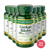 Natures Bounty Ginkgo Biloba Standardized Extract 120 Mg Herbal Supplement Capsules 2.56Oz (Pack of 24)