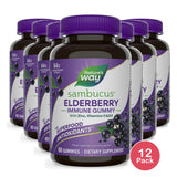 Nature's Way Sambucus Elderberry Gummies 60ct (Pack of 12)
