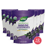 Naturesway Sambucus Organic Zinc Vitamin- C Lozenges24 Ea 3.68oz (Pack of 12)