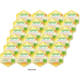 Lypsyl Intense Protection Original Mint Lip Balm 0.10Oz (Pack Of 48)