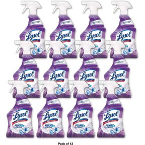 Lysol Mold And Mildew Remover With Bleach 32Oz (Pack of 12)