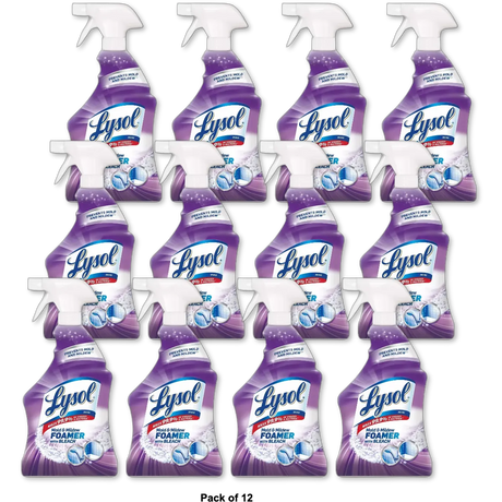 Lysol Mold And Mildew Remover With Bleach 32Oz (Pack of 12)