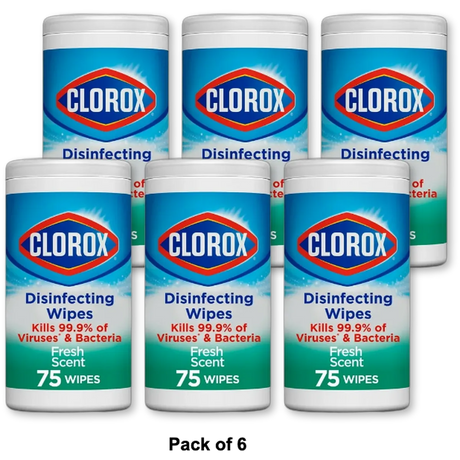 Clorox Disinfecting wipes Fresh Scent 19.68oz (Pack of 6)