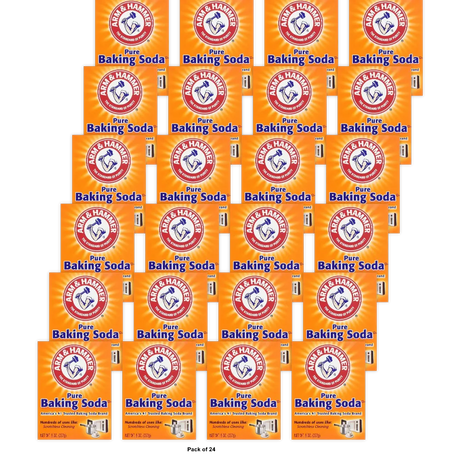 Arm and Hammer Pure Baking Soda 8Oz (Pack of 24)