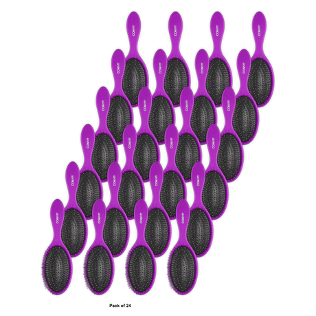 Conair Gentle Detangling Cushion Hairbrush for Wet or Dry Hair Colors Vary 4.59Oz (Pack of 24)