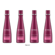 Nexxus Color Assure Vibrancy Retention Shampoo13.5Oz (Pack of 4)