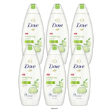 Dove All Day Moisturizing Body Wash Cool Moisture For Normal Skin 12Oz (Pack of 6)