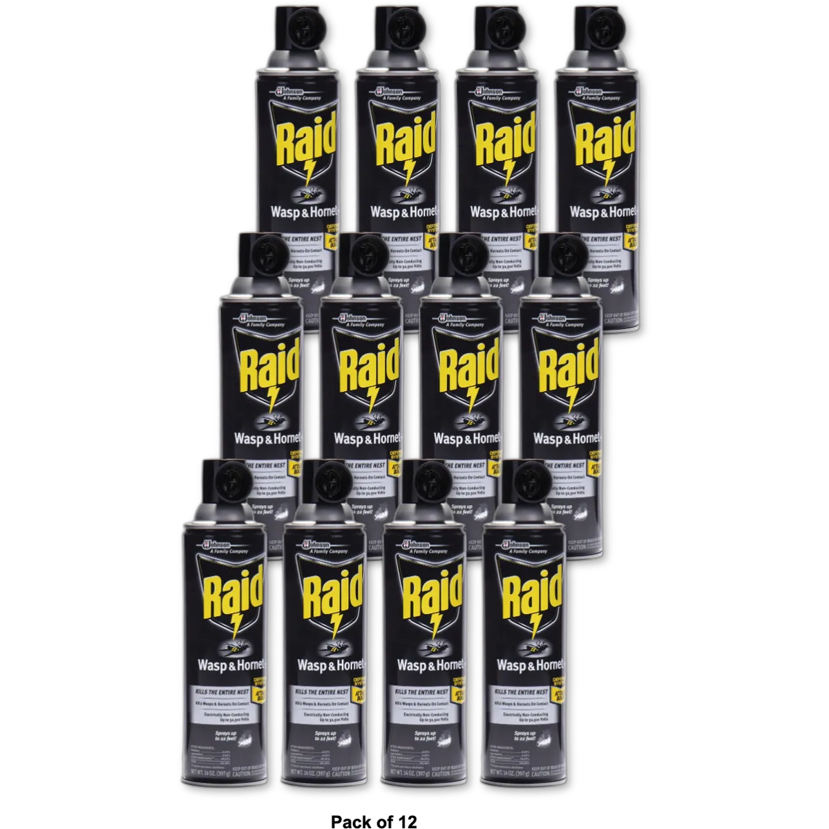 Raid Wasp And Hornet Killer Spray 14Oz (Pack of 12)