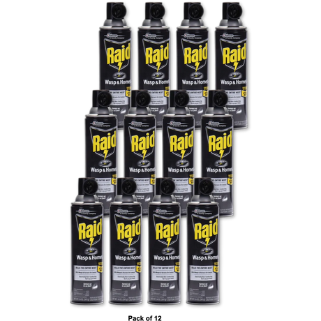 Raid Wasp And Hornet Killer Spray 14Oz (Pack of 12)