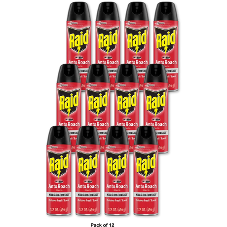Raid Ant And Roach Killer Outdoor Fresh 17.5Oz (Pack of 12)