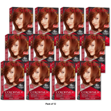 Revlon Colorsilk Beautiful 42 Medium Auburn Permanent Hair Color 7.36oz (Pack of 12)