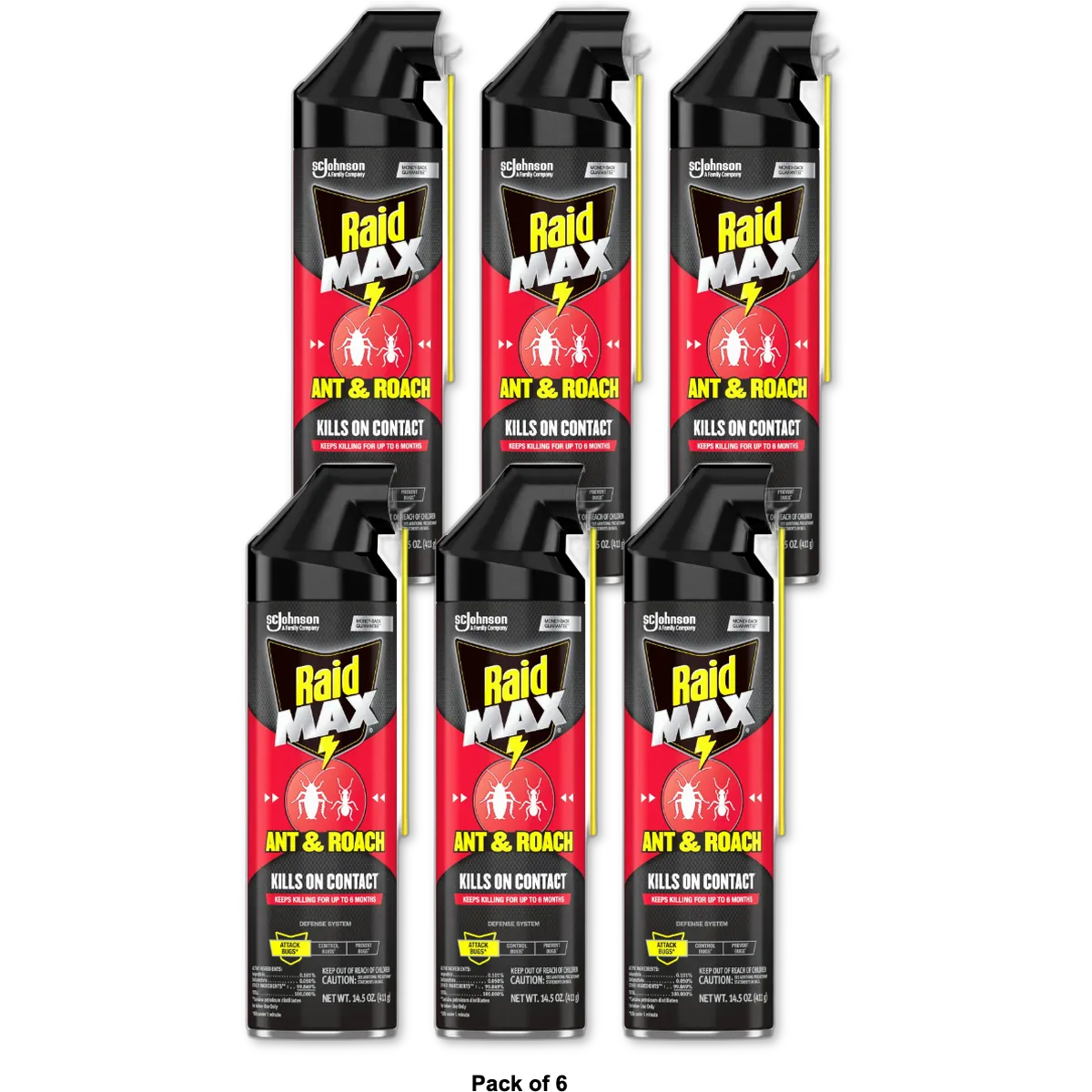 Raid Max Roach Insect Killer Aerosol Spray On Bugs14.5Oz (Pack of 6)