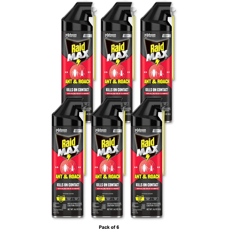 Raid Max Roach Insect Killer Aerosol Spray On Bugs14.5Oz (Pack of 6)