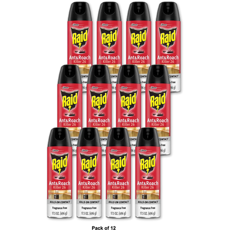 Raid Ant And Roach Killer Fragrance Free17.5Oz (Pack of 12)