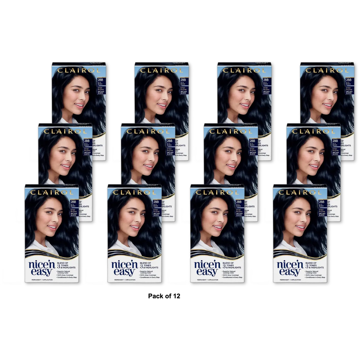 Clairol Nice & Easy Permanent Hair Dye Color Cream 2BB Blue Black 6.26Oz (Pack of 12)