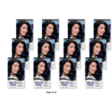 Clairol Nice & Easy Permanent Hair Dye Color Cream 2BB Blue Black 6.26Oz (Pack of 12)