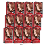 Revlon ColorSilk Beautiful Color Permanent Hair Color 55 Light Reddish Brown (Pack of 12)