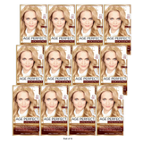 L Oreal Paris Age Perfect Hair Color 8N Medium Natural Blonde Root Cover Up (Pack of 12)