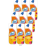 Lysol® Toilet Bowl Cleaner Gel For Cleaning and Disinfecting Stain Removal Br 24 oz (Pack of 9)