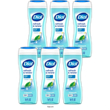 Dial Body Wash Refresh & Renew Spring Water 16 FL OZ (Pack of 6)