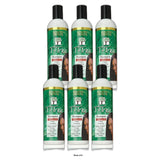 Parnevu T-Tree Therapeutic Hair Shampoo Helps Stop Itching (Pack of 6) 12 Oz