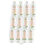 Cantu Shea Butter Moisturizing Rinse Out Conditioner (Pack of 12) 13.5 Fl. Oz