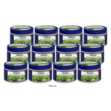 Dr Teal s Exfoliate & Renew with Eucalyptus & Spearmint Epsom Salt Body Scrub 16 Oz (Pack of 12)