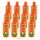 Cantu Avocado Hydrating Sulfate Free Shampoo - (Pack of 12) 13.5 fl. Oz